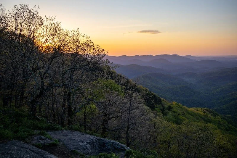 FOR PEACH LOVERS & EVERYONE ELSE